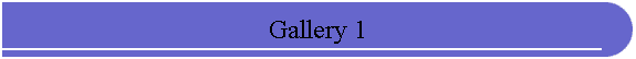 Gallery 1